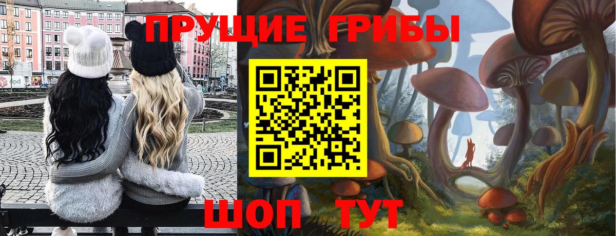 Галлюциногенные грибы GOLDEN TEACHER  Галлюциногенные грибы мицелий  Ахтубинск  Вход с VPN 